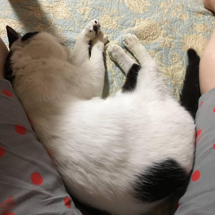 12521e26 d5c6 4d67 bed5 2a22a9e1e4c0