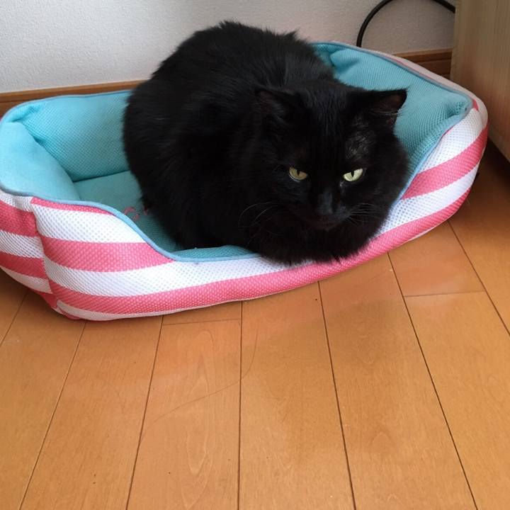 12526fff ea4d 4125 973c 8fcc3438942c