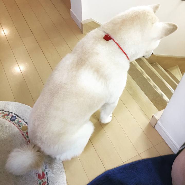 125280dc f5cb 476f 9976 2ddf82582070