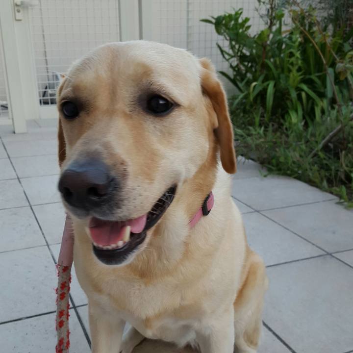 1252947e d0f8 4bf9 8c97 37b34c1708cb