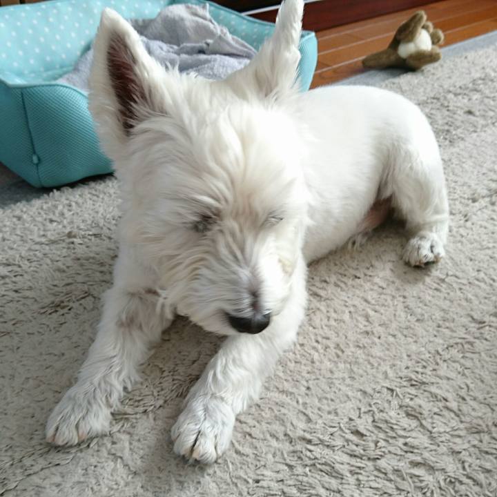 12534bd2 8bb1 4ac1 84cd bfbcd61e1754