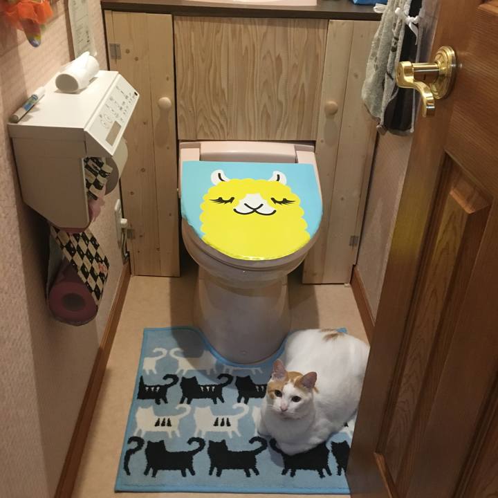 1253bc35 976d 42f8 a703 a412f4daceb2