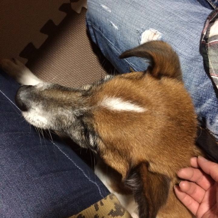 1253e953 70b1 4e4e a4ef 3a47c4329d44