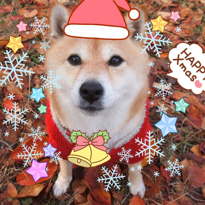 1254255d 01d2 4e48 a951 b0e2d811e3cc