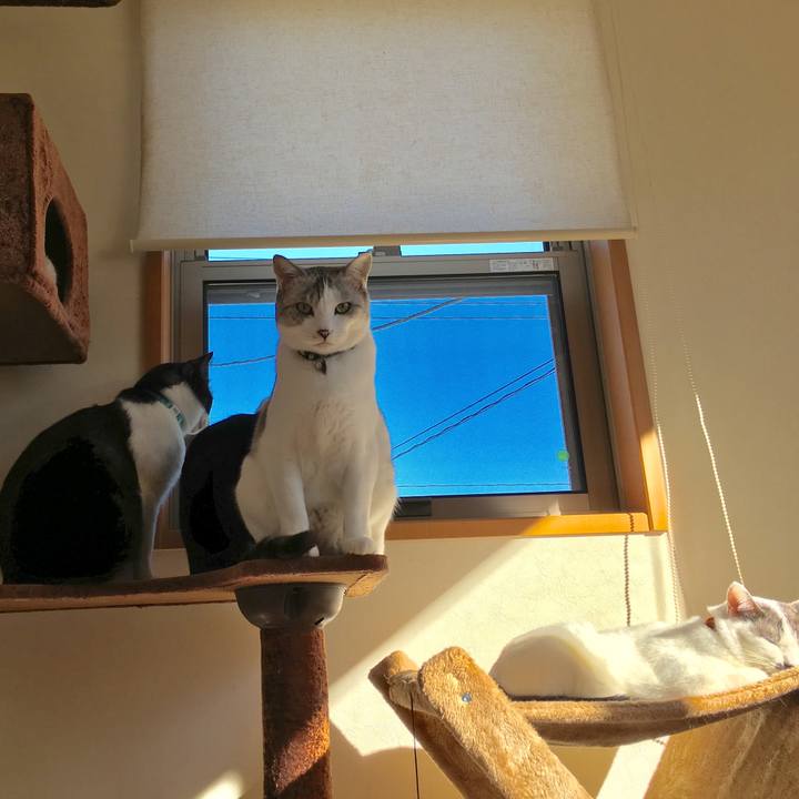 1254273b 3e4d 4438 8914 e80096da03c1