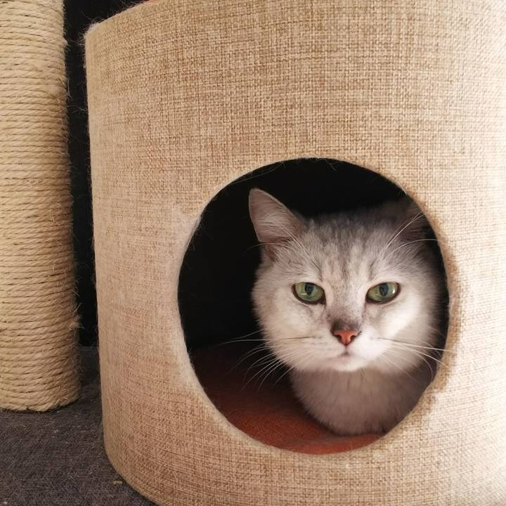 1254eab2 d638 40bc 80e6 fa7a8df3695c