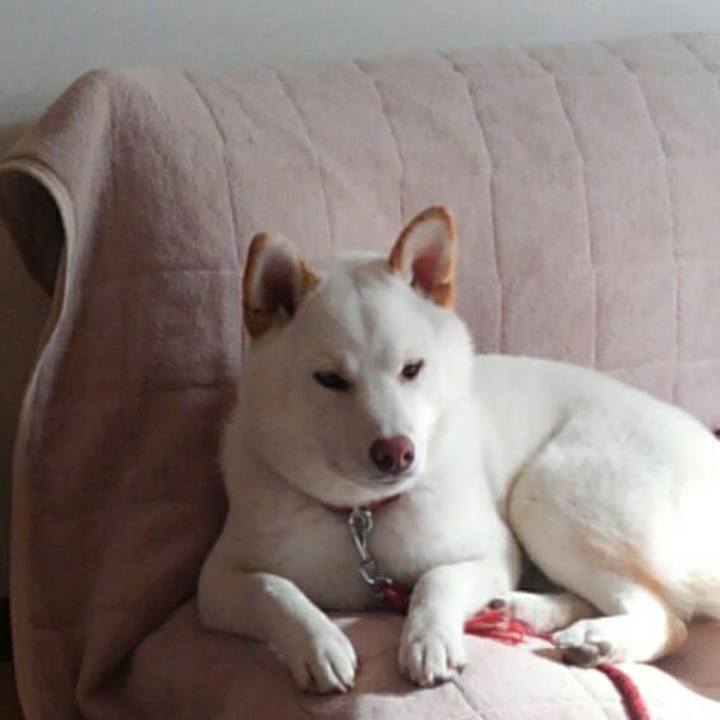 12550821 b1f2 4d53 9c50 4b167be6e1e4