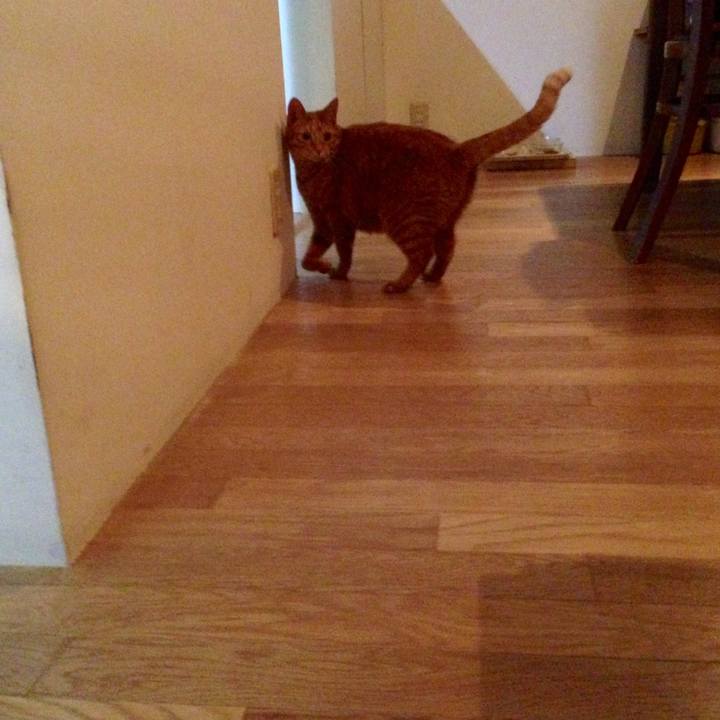 12553555 a0a2 4635 95f1 fff3299fb974