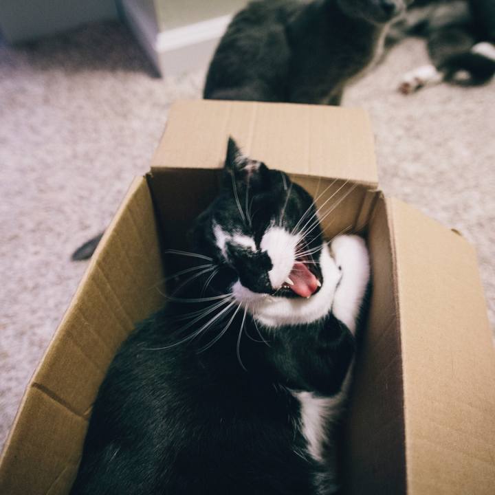 12554e40 2ff3 4e4e a96a 12ed1227ed32