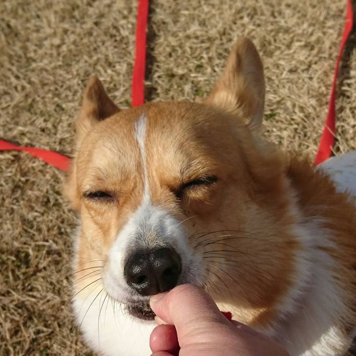 12562e4b 9cd8 4c7b b974 a65eecd4dca5