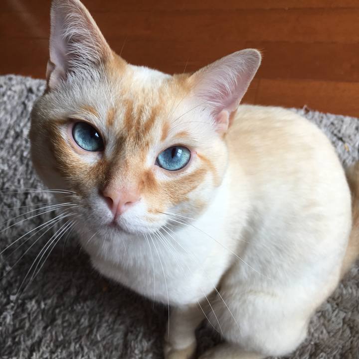 1256c5e1 0ce3 470f aefb f676157838cf