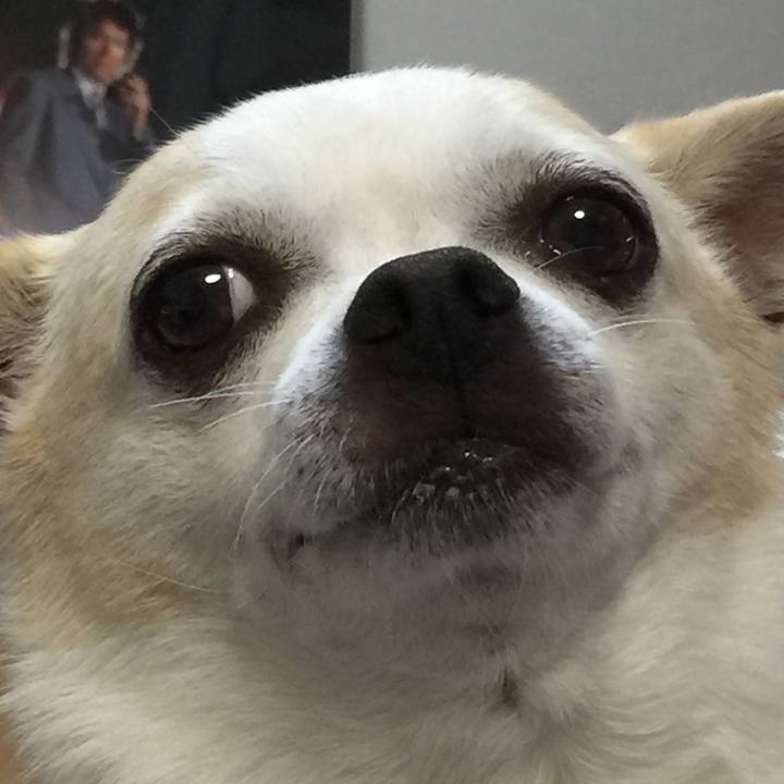 1257bfb7 54c1 4f77 a8a8 fdabad230656