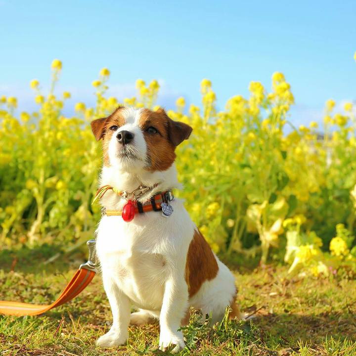 1257ca1c 699b 4521 ac76 1bc6bafd0e83