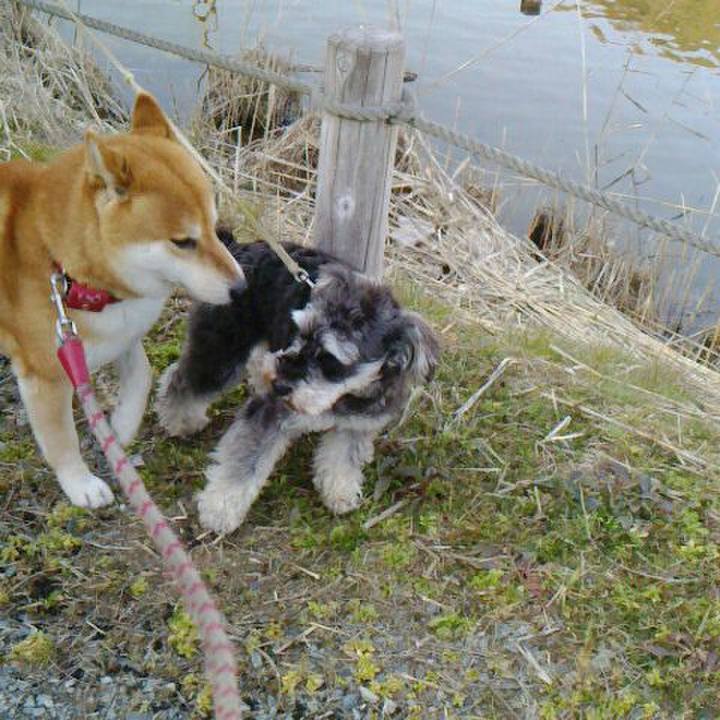 1257d116 6080 4c1e baa8 90789d27696d