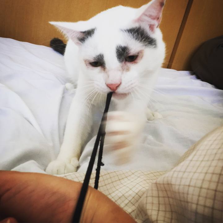 1257f0e7 a6fa 40e7 8364 d4a2a45ab945