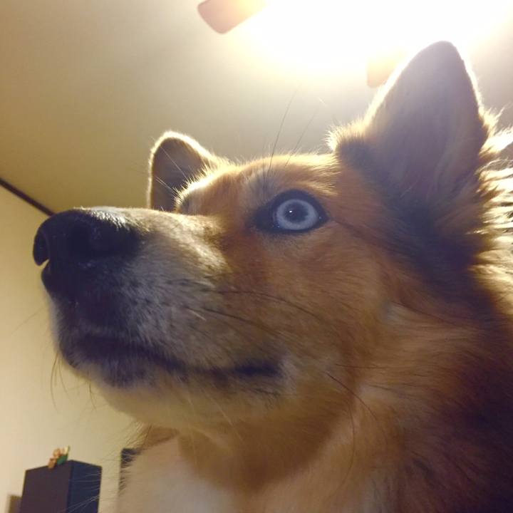 125845d0 5645 43c8 a6e2 bc8aec0eb736