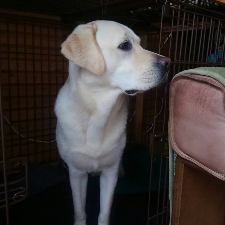 1258c068 d523 4d33 b25a 85fc142378f6