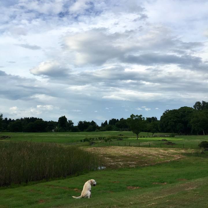 125958e3 11a0 4b37 a5d7 c7fb4f5cd9e8