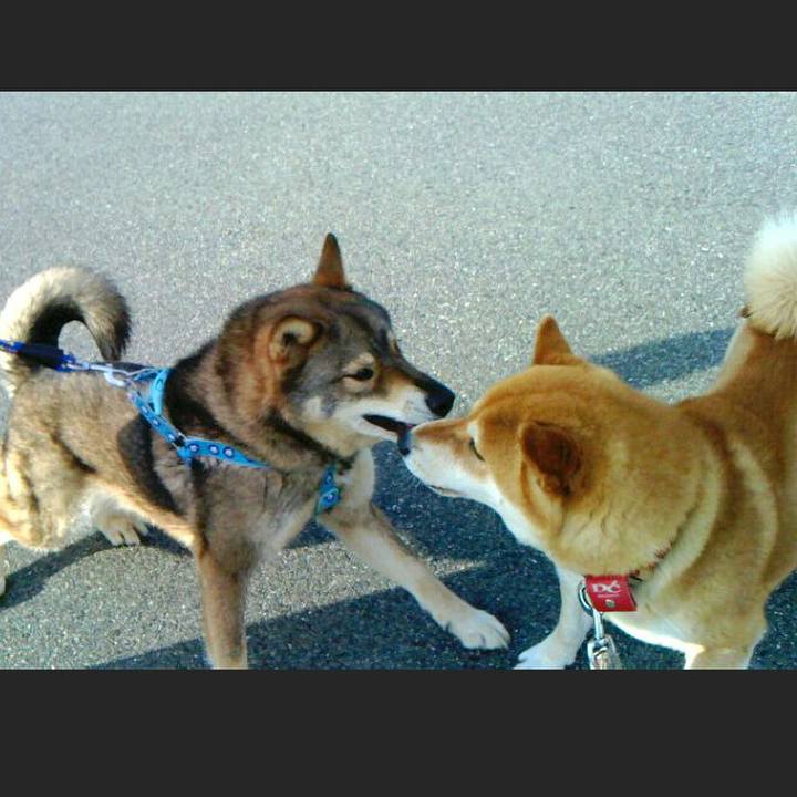 12596096 7872 42d3 91b8 11a9166c7325