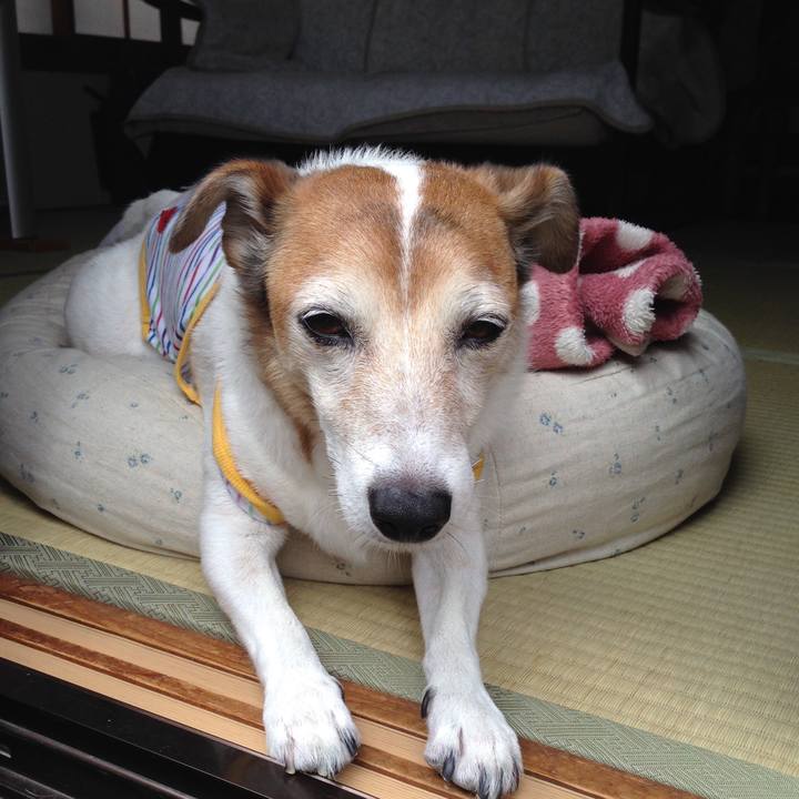 1259c3cd 6736 4fdc 9c8e 90af4750e8fc