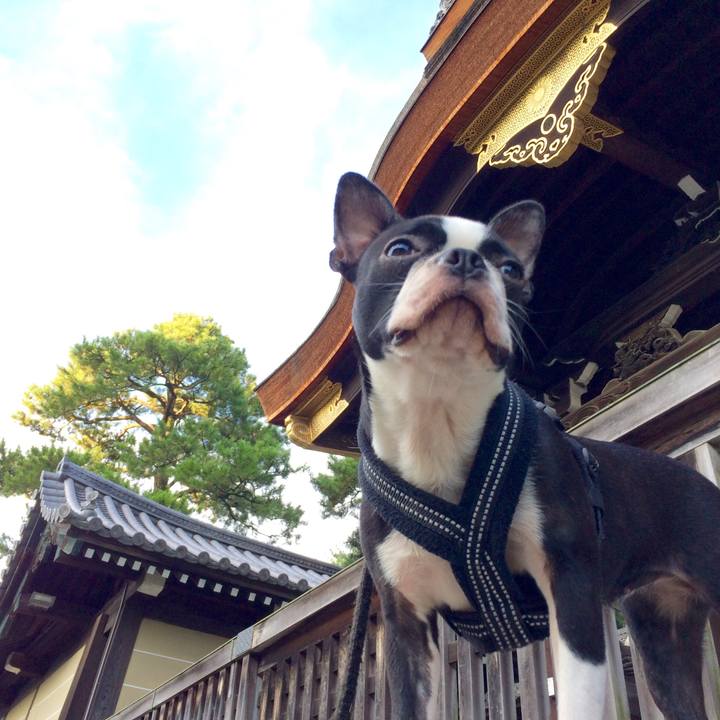 125a5ca9 f8db 4bec ade2 2ab451a607b0