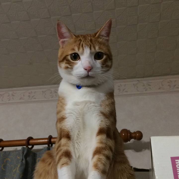 125a97ba d1b7 4c7f 83c7 869398402a5a