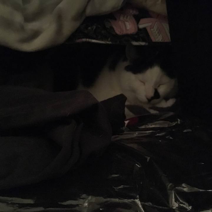 125b3f8d dc95 4776 9509 992369fd324c