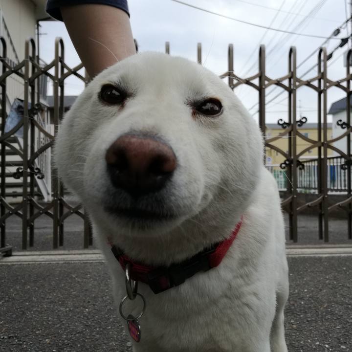 125bfc14 2ceb 40ed 8caa 54ae6dead070