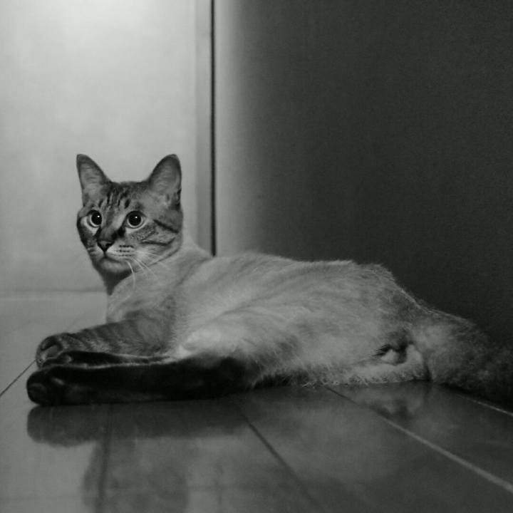 125c3a8f 1bfb 477c 949c 26d205f58693