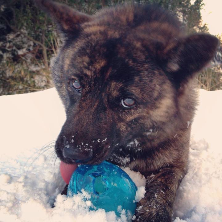 125ca4be 5fe6 4fd4 8d15 14af06defe27