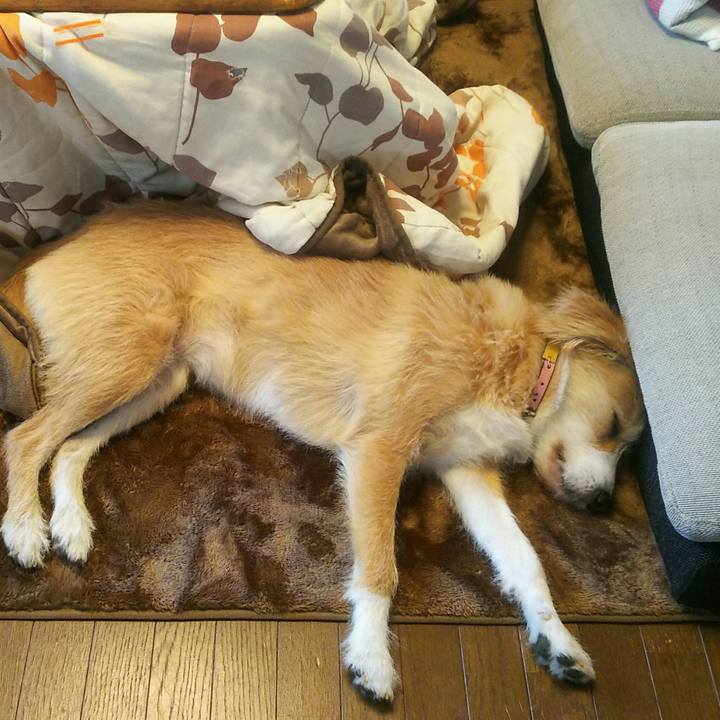 125ce91f 7ab2 4896 af8e 571beef82455