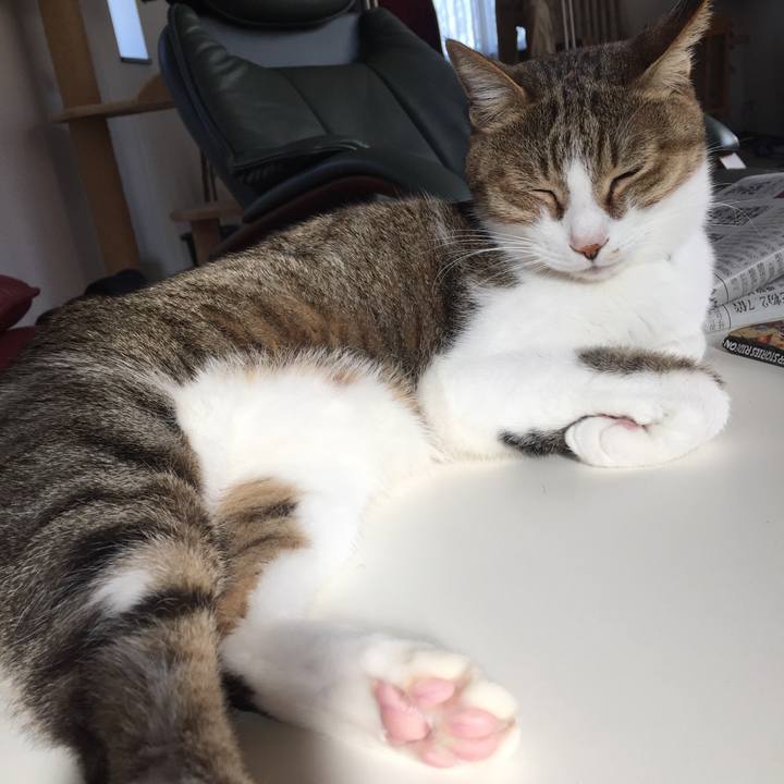 125d1dd8 4a6f 4688 915d 5317f084bd04