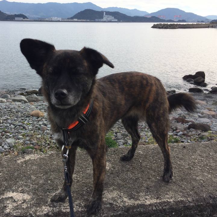 125d47fa 565c 452d a4e5 a68afdfba808