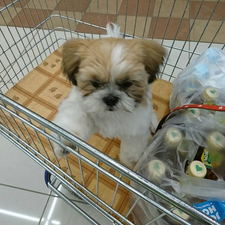 125d516a 39b9 4fbf 8c61 eb772b9f4d48