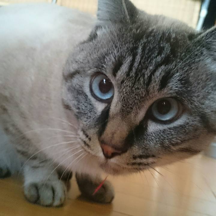 125d8be5 3308 4eea 9bf2 de4998fce699