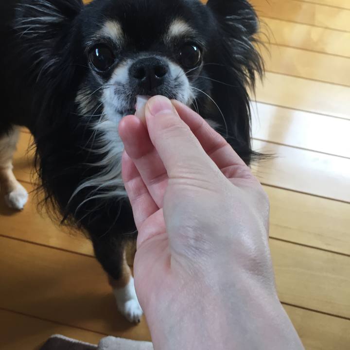 125d8df2 e879 4c31 8d9e 25118c876390