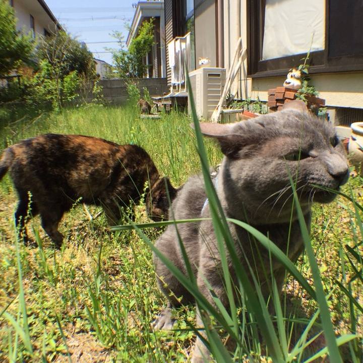 125dcc28 8b16 4bc3 9e3e d7f29f351199