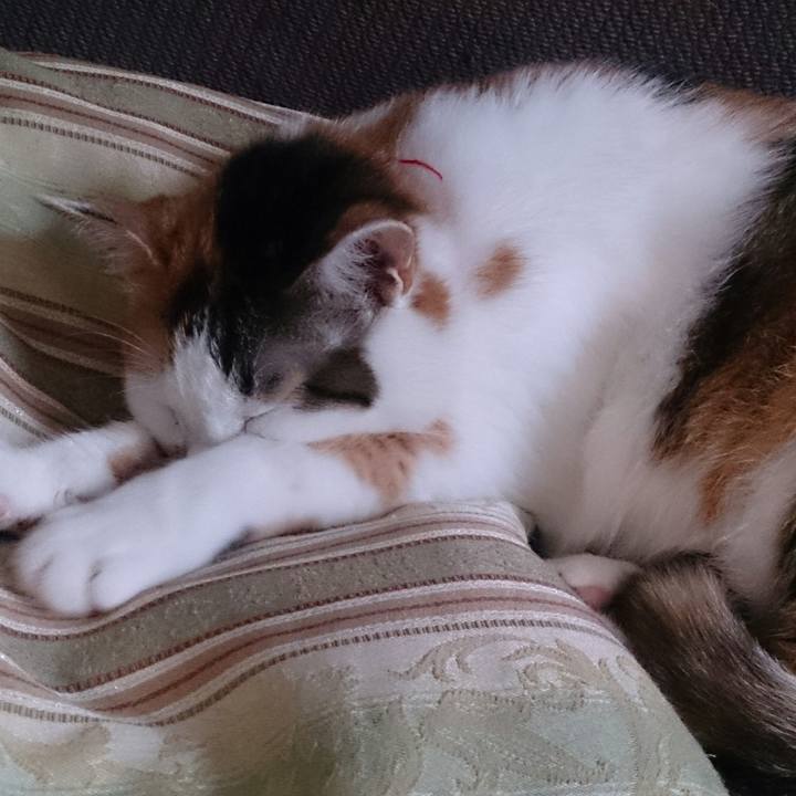 125e1078 1bd8 4611 bae5 76cdbcb8655b