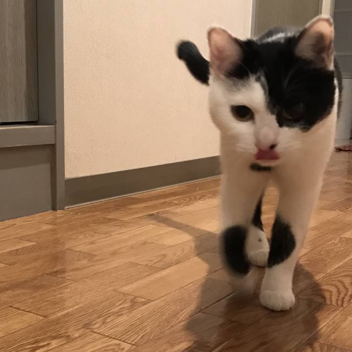 125e1adf 298d 4773 a4bb ae0ef102a53c