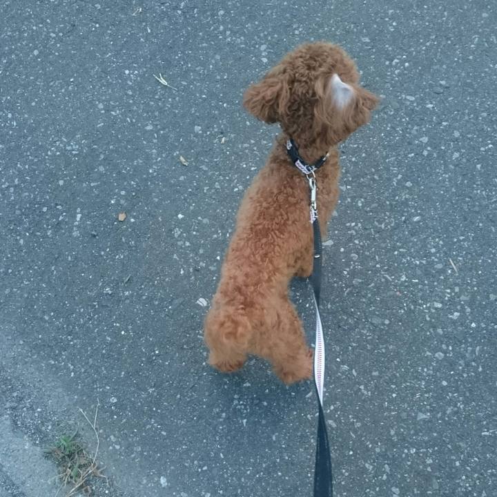 125e2322 8620 4dfa a19d 65a3b8a86979