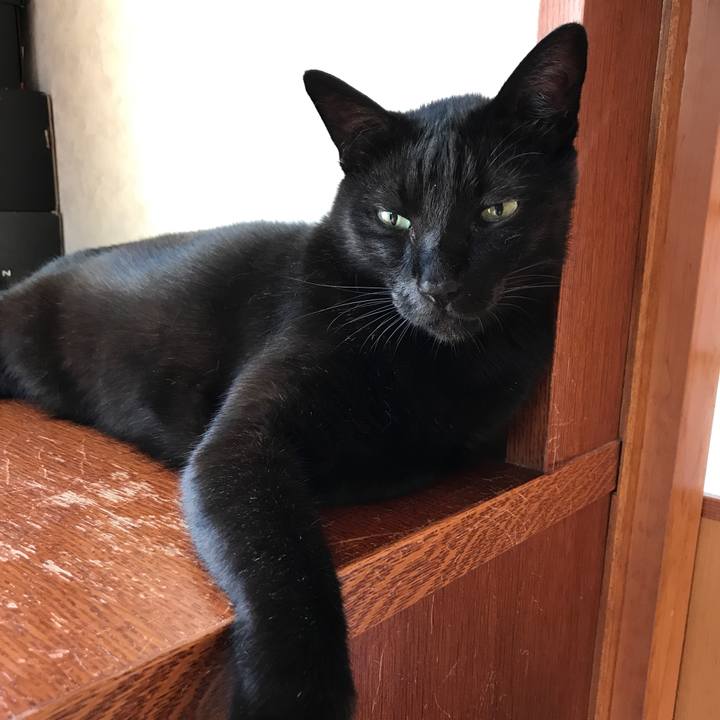 125e6250 f4e6 42d2 acc1 8d367af53faa