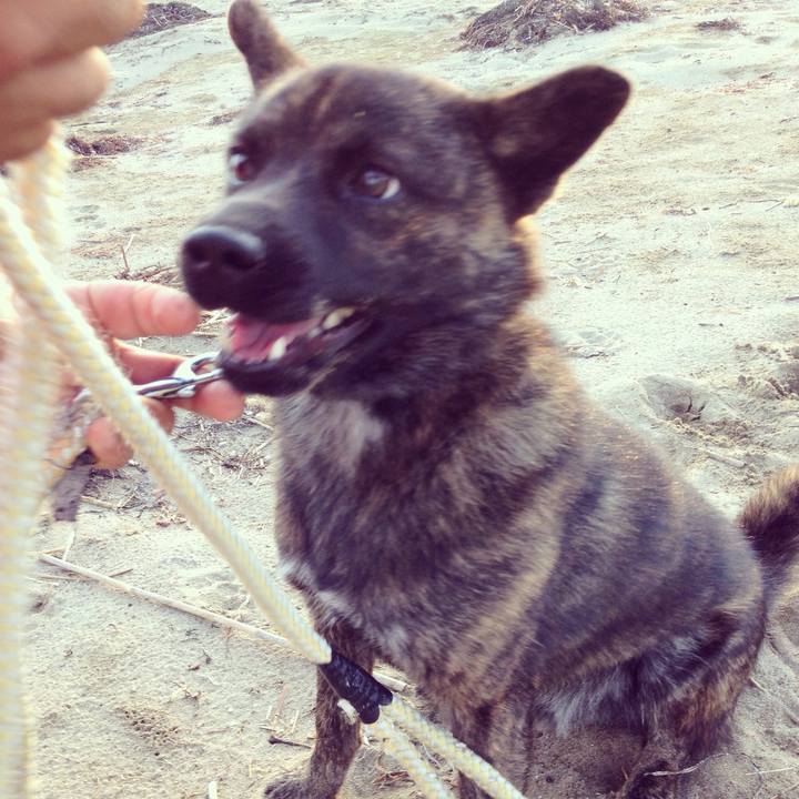 125e8165 6309 4edd ba61 21417ff0eb1e