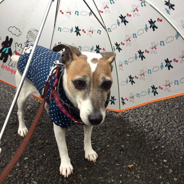 125eaaf9 7e6a 478f bbb0 6b290c74e800