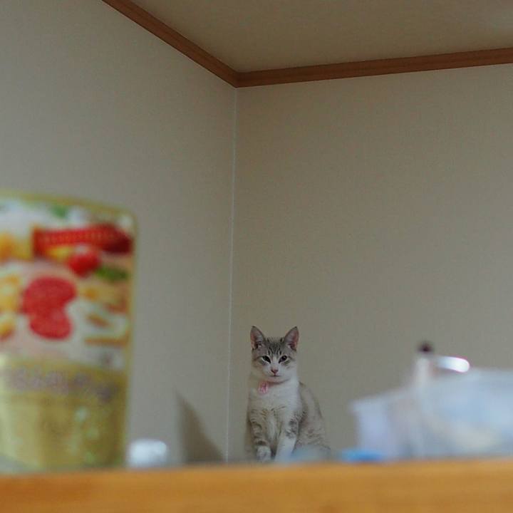 125ee59f 496e 4e7f bf41 091685d629a3