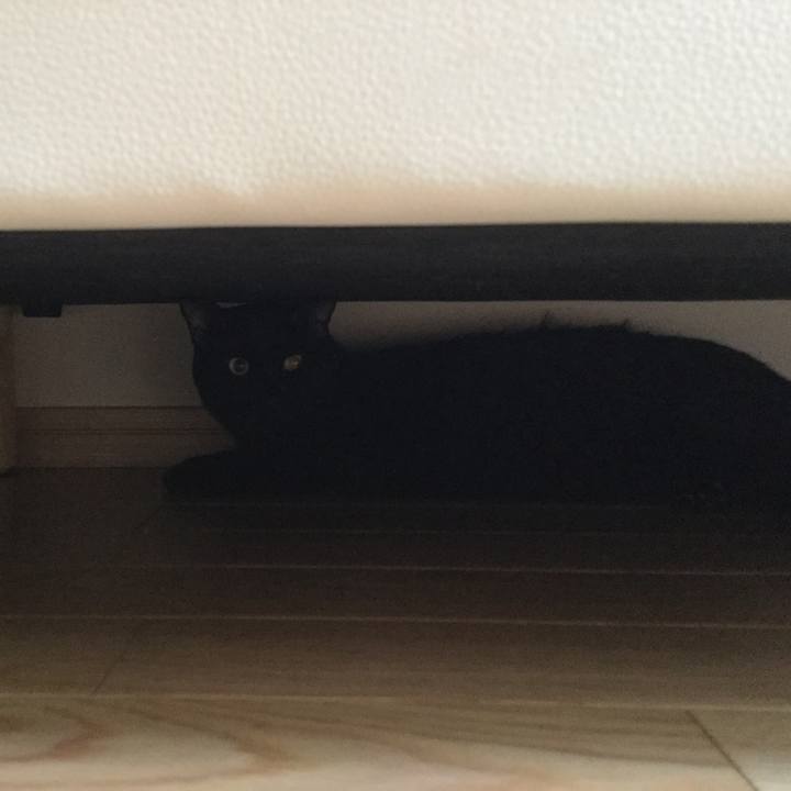 1260069d a9fc 4c99 9dfa 18da973acee3