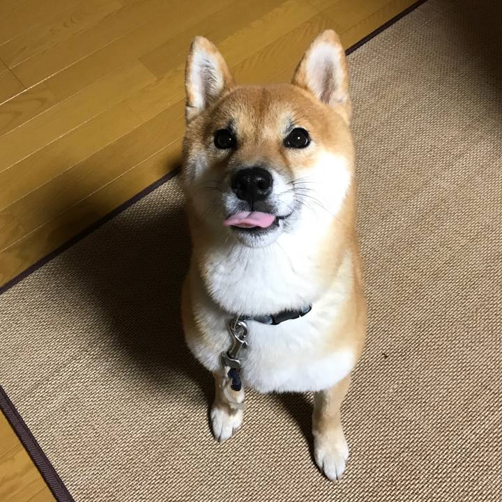 1260aa51 2345 4fc9 8c55 3372c798eef5