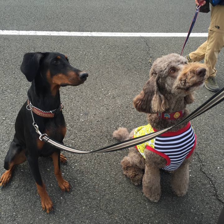 126199a5 6417 4a42 873a 846eeab5b55b