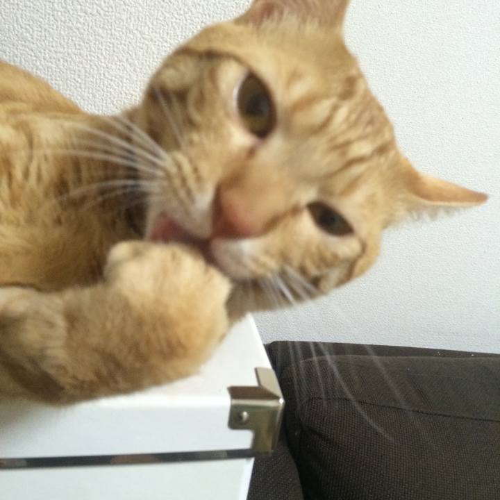 1261a378 6aa1 4799 ab56 21d1bc9b64f4