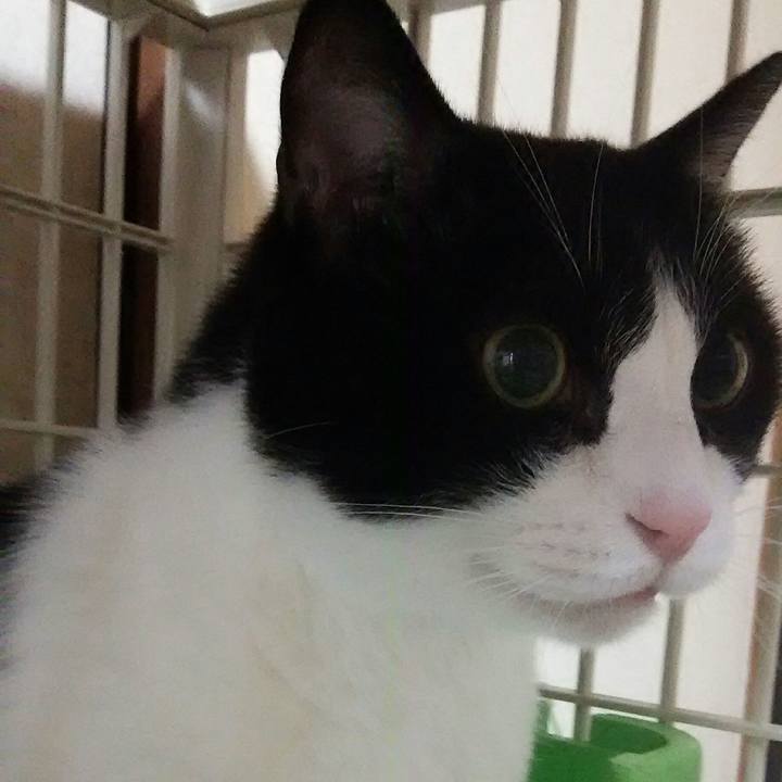 1261cd32 6fe0 4212 a7e8 04b33258178c