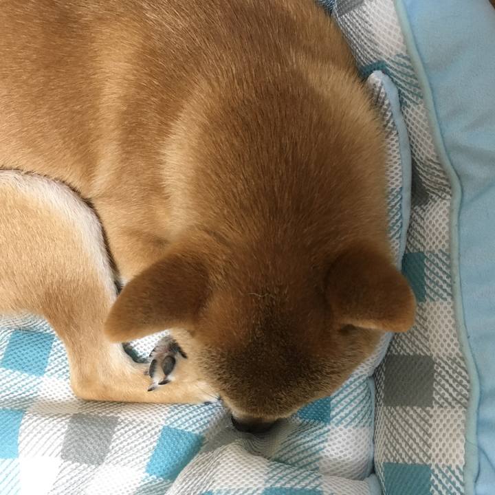 12623511 2c72 431a aca9 1ff3c825d1ec